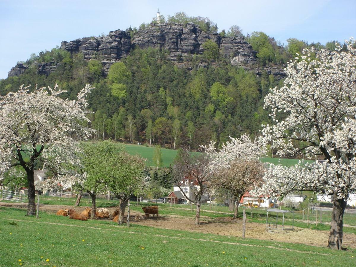 Alter Gutshof Papstdorf Leilighet Eksteriør bilde